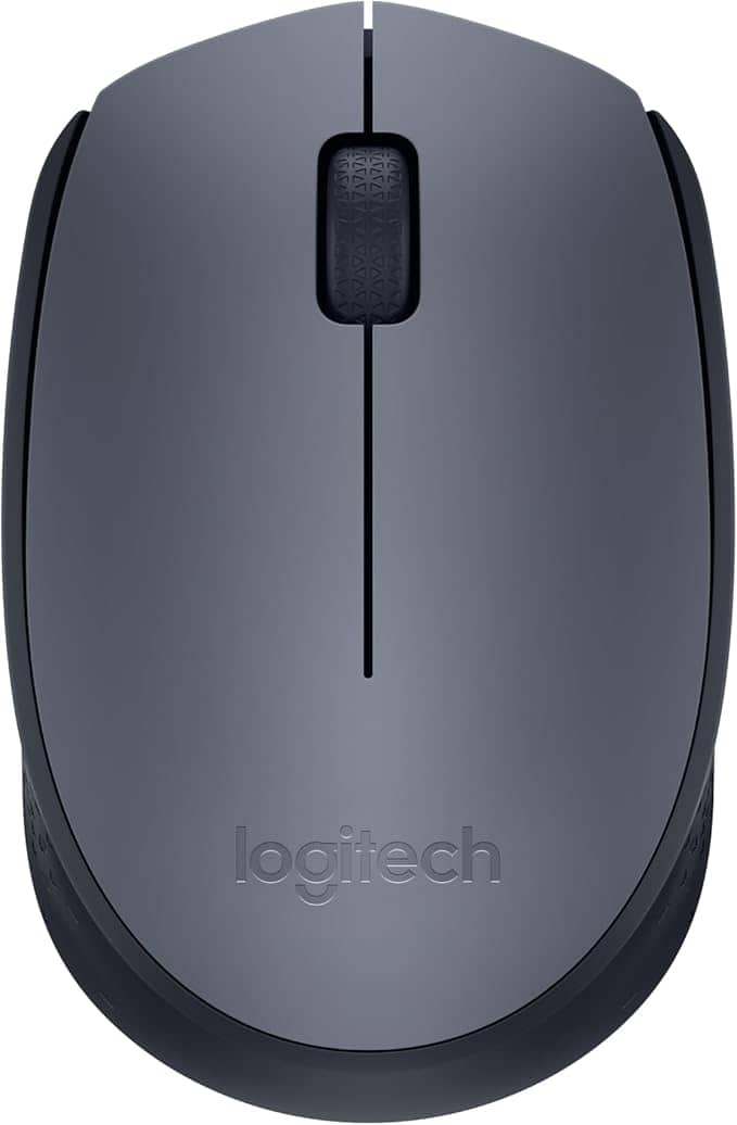 Logitech M170