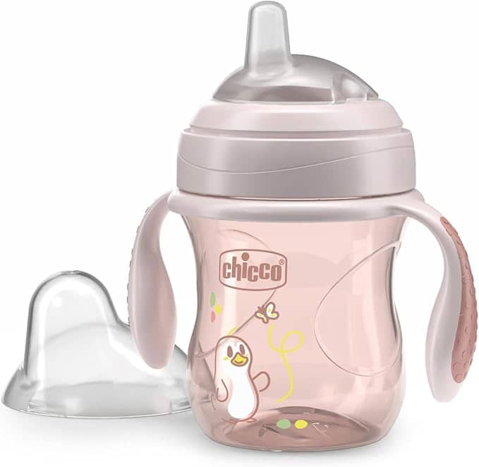Chicco Transit