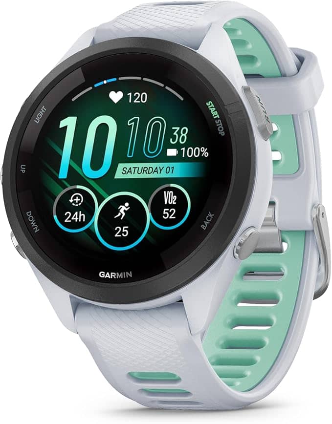 Garmin 265S